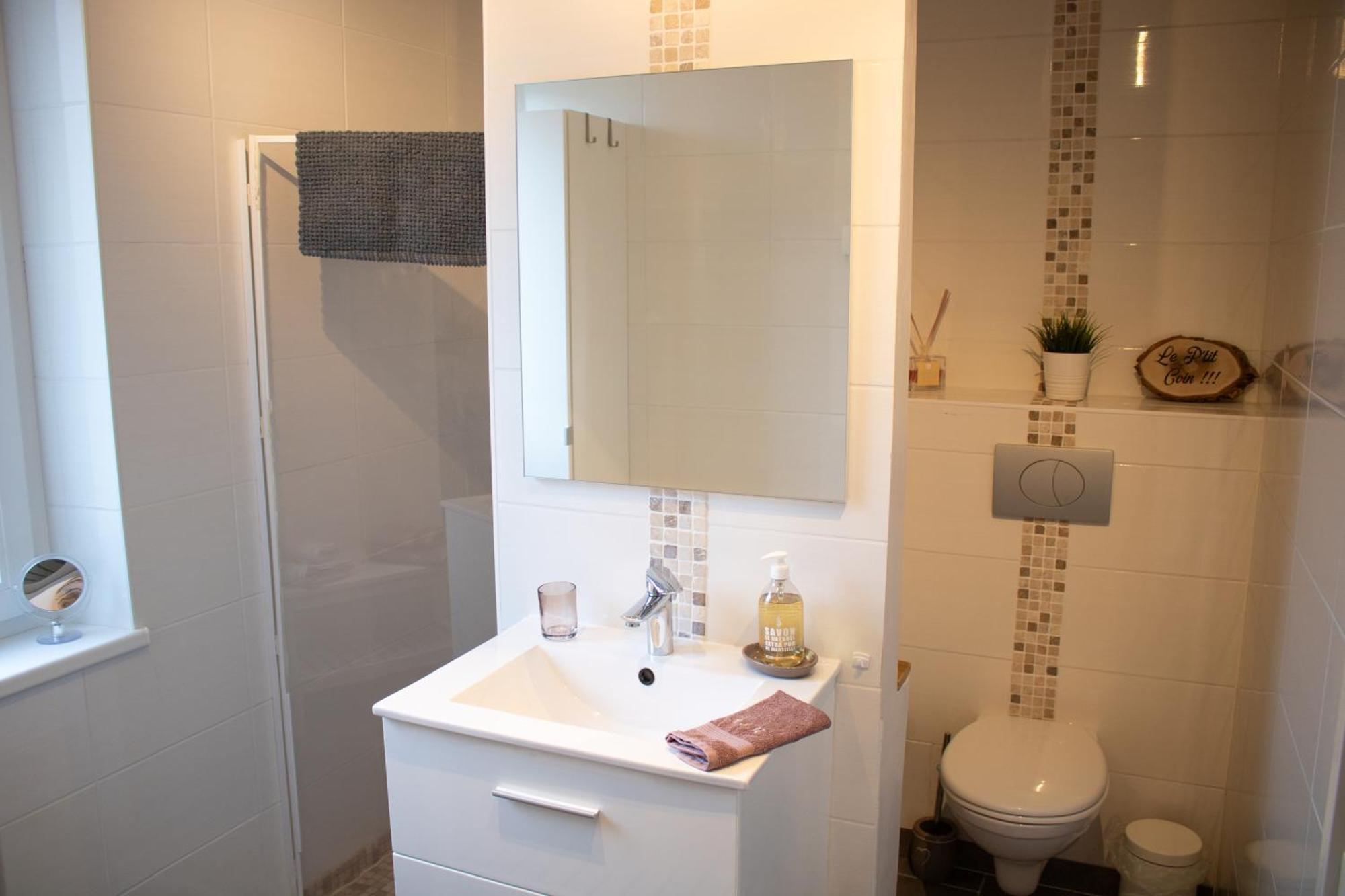 Chez Rozenn Et Mewen Apartment Romanswiller ภายนอก รูปภาพ